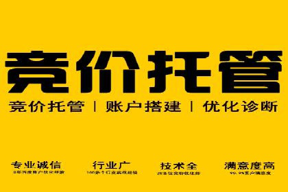 某知名品牌如何通过SEM服务提升转化率